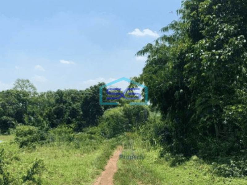 Dijual Tanah Lokasi Strategis di Cikeusal Serang Luas Tanah  9013 m²