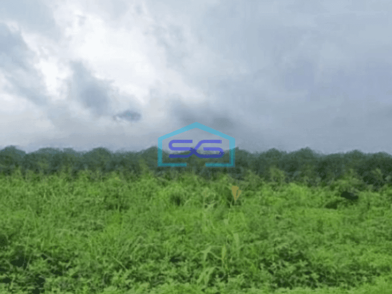 Dijual Tanah Luas 29887 m² Lokasi Karangasem Tulamben Bali