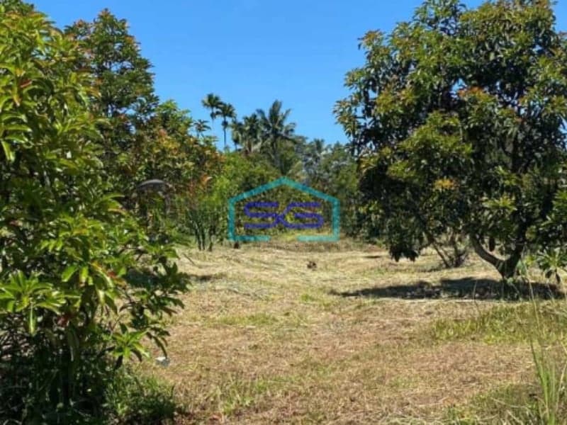 Dijual Tanah di Bojong Genteng Sukabumi Luas Tanah 75000m2