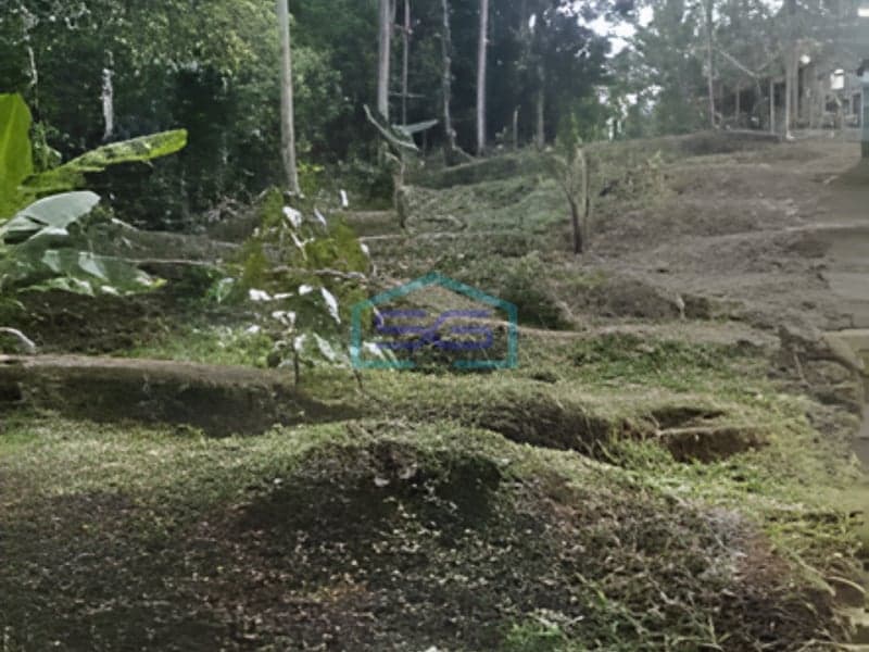 Dijual Tanah Jalan Besar di Penebel Tabanan Bali Luas Tanah 3000m2