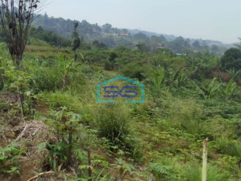 Dijual Tanah di Tugu Jaya Cigombong Bogor Luas Tanah 31000m2