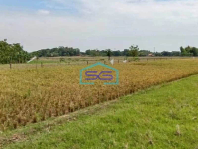 Dijual Tanah Kavling Industri di Subang Jawa Barat Pinggir Jalan Raya LT 300 Ha