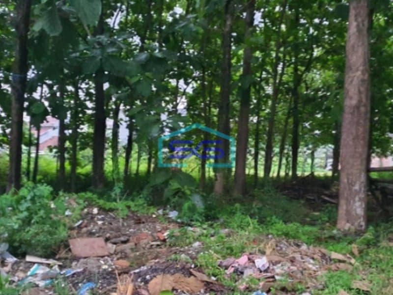 Dijual Tanah Siap Bangun Jalan Lebar di Sendangmulyo Semarang LT 1637m2