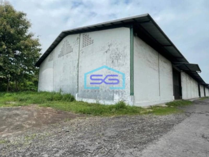 Dijual Gudang Murah Ngoro Mojokerto Jawa Timur Luas Tanah 42522m2 Harga Nego