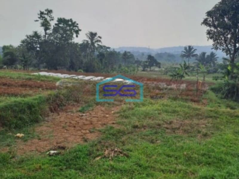 Dijual Tanah Bagus di Desa Cileungsi Ciawi Bogor Luas Tanah 5000m2