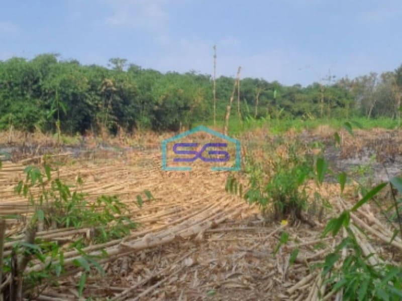 Dijual Tanah di Cibodas Rumpin Bogor Luas Tanah 2450m2