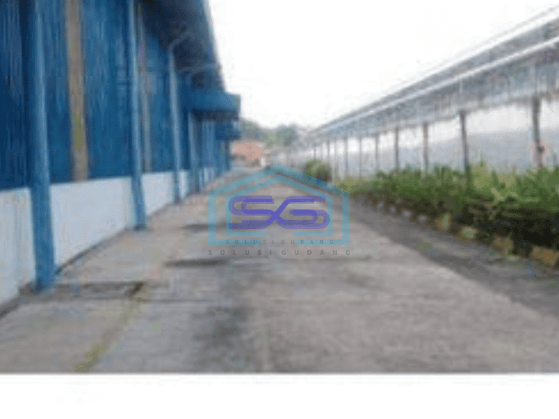 Disewakan Pabrik di Delta silicon 3, Cikarang