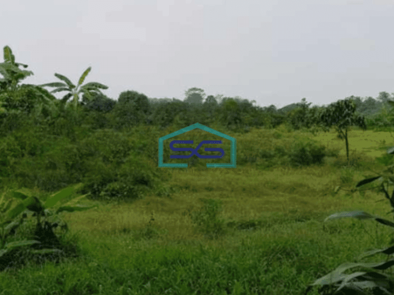 Disewakan Tanah di Pantai Indah Kapuk Jakarta Utara