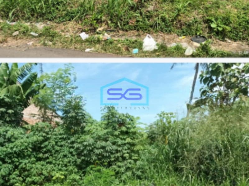 Dijual Cepat Tanah Kavling Letaknya Strategis di Jalan Lele Pamulang Tangerang Luas Tanah 600m2