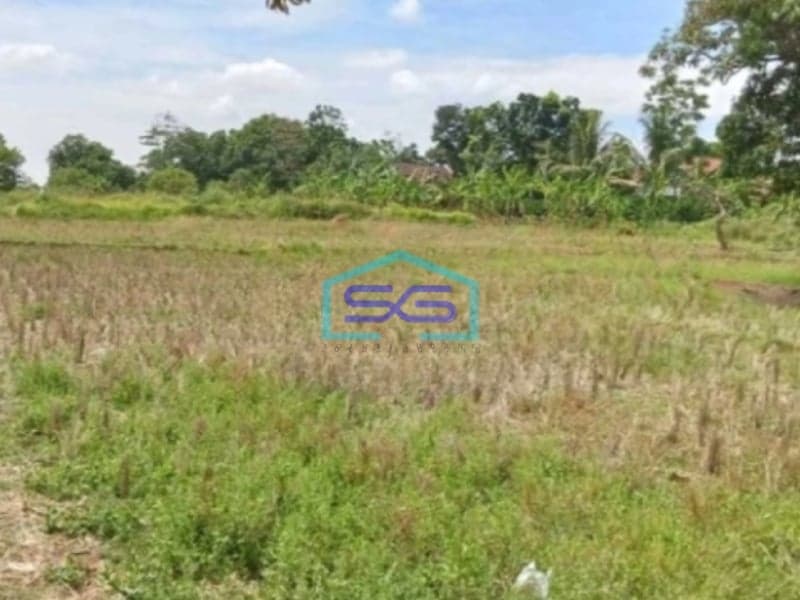 Dijual Tanah Lokasi Bebas Banjir di Subang Jawa Barat Luas 300 Ha