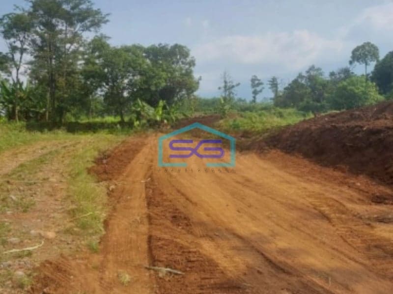 Dijual Tanah Uruk Daerah Gunting Sukorejo Pasuruan Jawa Timur LT 70 Hektar