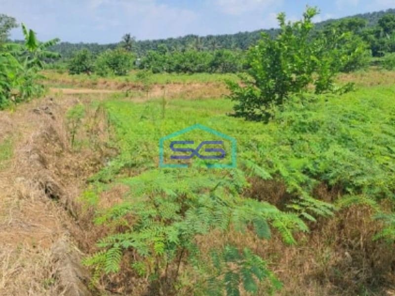 Dijual Tanah Lokasi Di Pinggiran Kota Kemang Bogor LT 120000m2