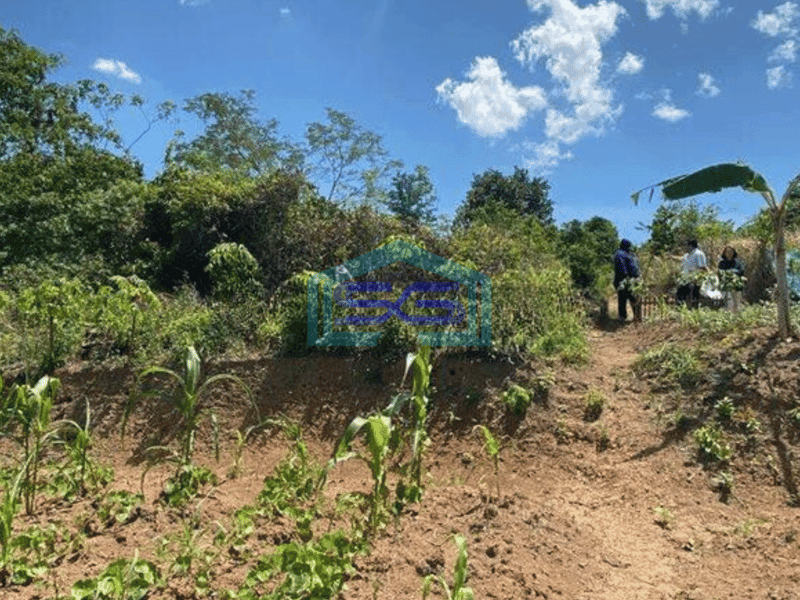 Dijual Tanah Kosong Cocok Untuk Gudang di Serang Banten