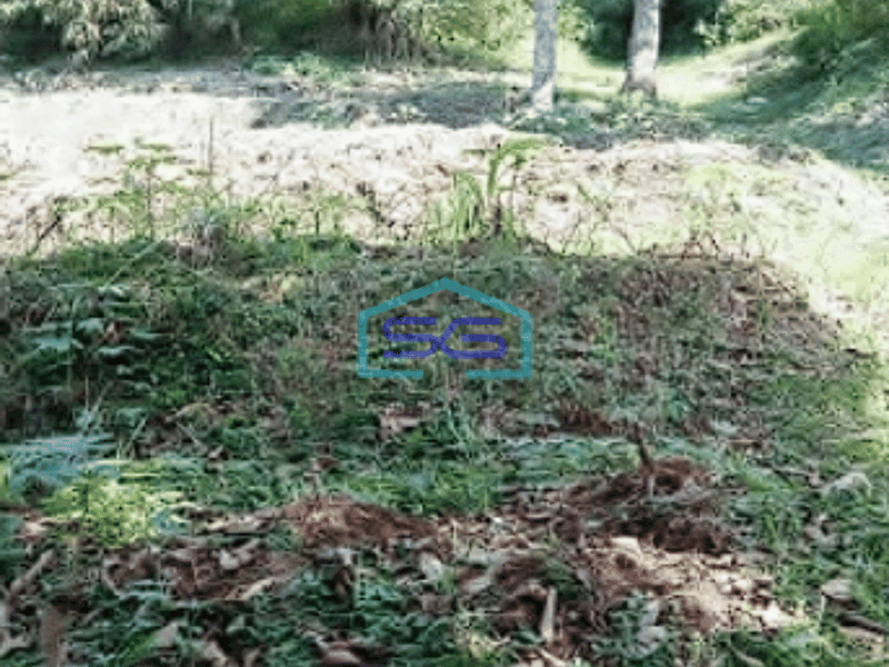 Dijual Tanah di Jalan Lintas Leuwiliang Bogor Luas Tanah 2150m2