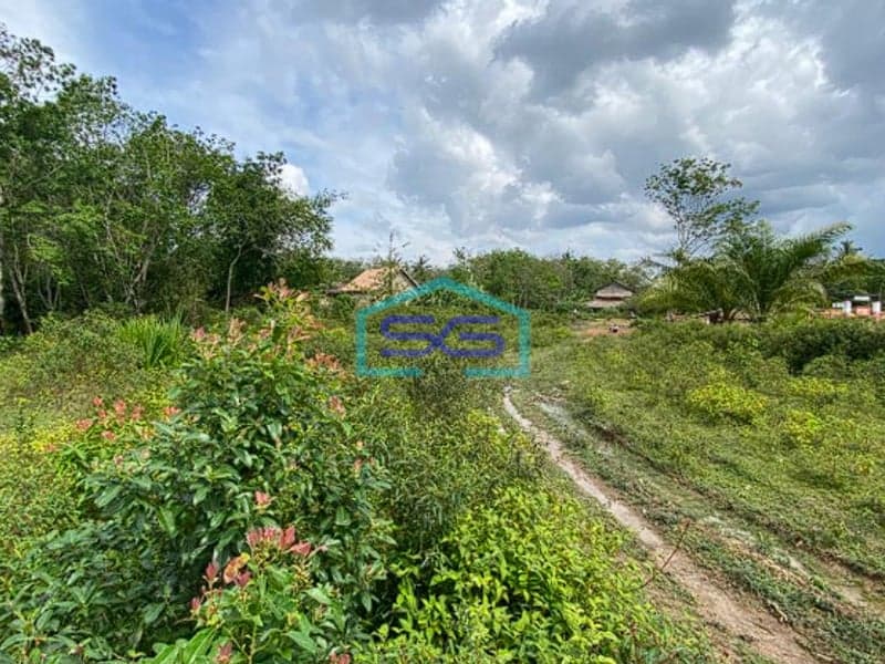 Dijual Tanah di Kab Banyuasin Sumatera Selatan Luas Tanah 21000m2