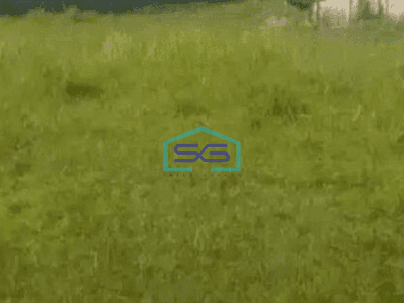 Dijual Tanah Kavling di Tigaraksa Kp. Cileles Bantar Panjang Tangerang