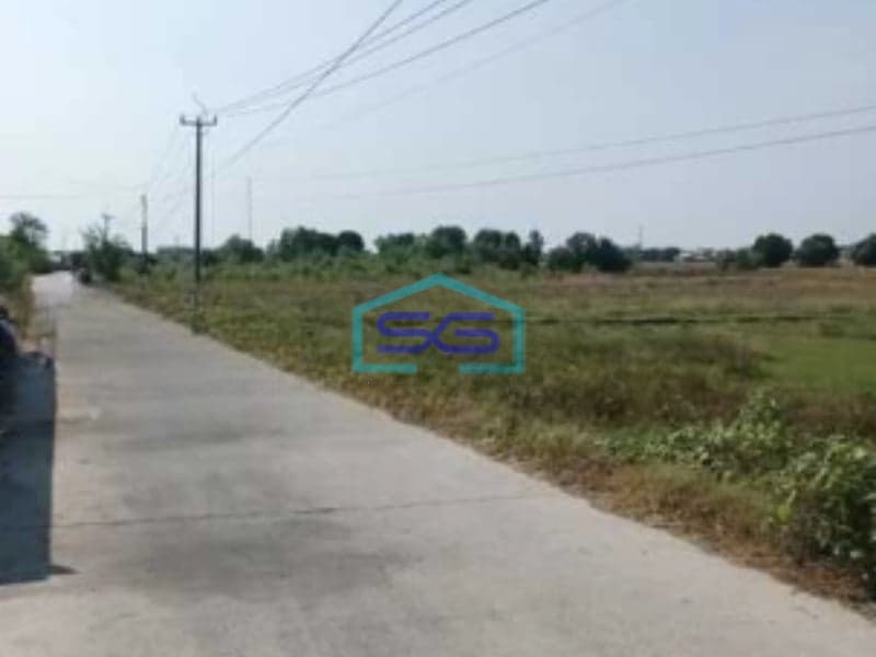 Dijual Tanah Siap Bangun Di Subang Jawa Barat Luas 200 Hektar