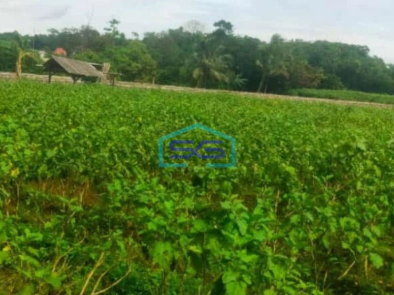 Dijual Tanah Desa Cibungbulang Bogor Barat Jawa Barat LT 70000m2