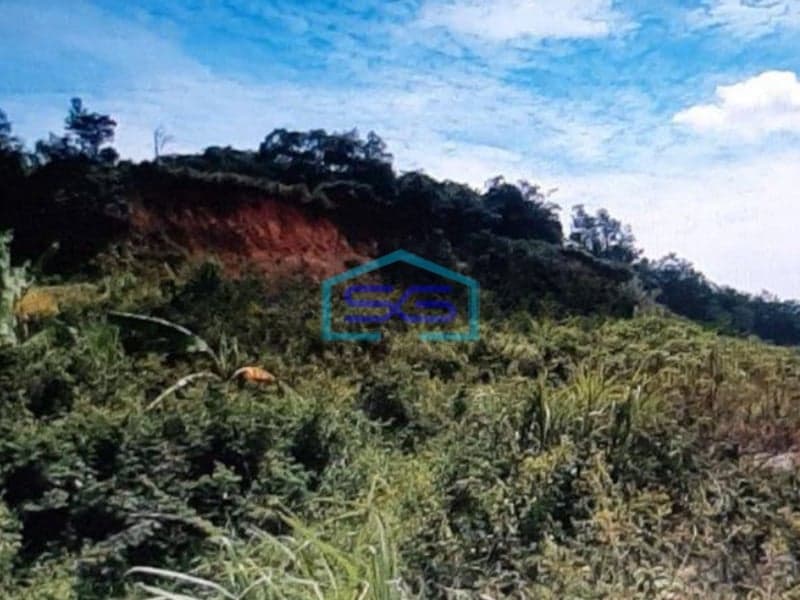 Dijual Tanah Di Bogor Cocok Untuk Gudang LT 37510m2