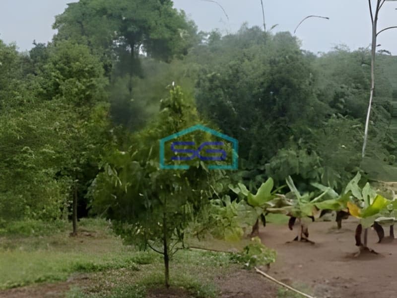 Dijual Murah Tanah di Pandeglang Banten Luas Tanah 22800m2