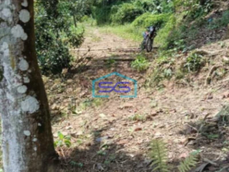 Dijual Tanah Di Kawasan Lewihejo Sentul Bogor Luas Tanah 1840m2