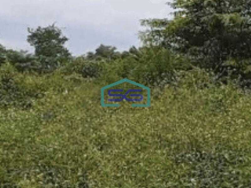 Dijual Tanah Murah Luas 65000 m² di Legok Tangerang