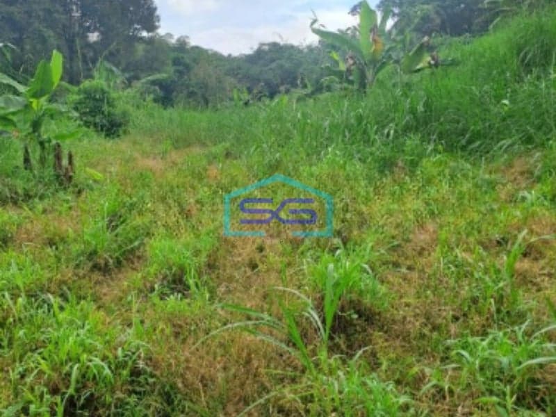 Dijual Tanah Di Cibodas Rumpin Bogor Jawa Barat LT 12000m2