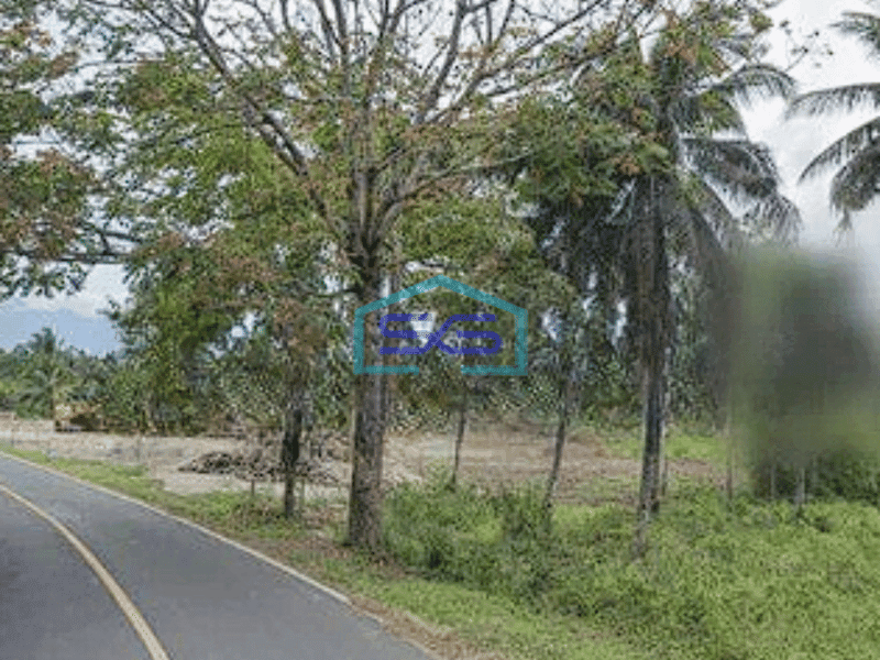 Dijual Tanah 2 Ha Di Kema Minahasa Utara Cocok Buat Industri Dan Gudang