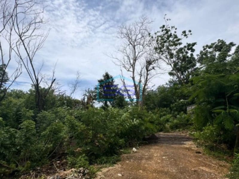 Disewakan Tanah di Uluwatu Badung Bali Luas Tanah 1000m2