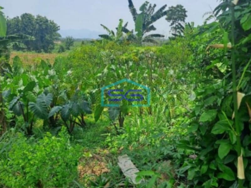 Dijual Tanah di Area Rumpin Bogor Luas Tanah 1000m2 Depan Jalan Raya