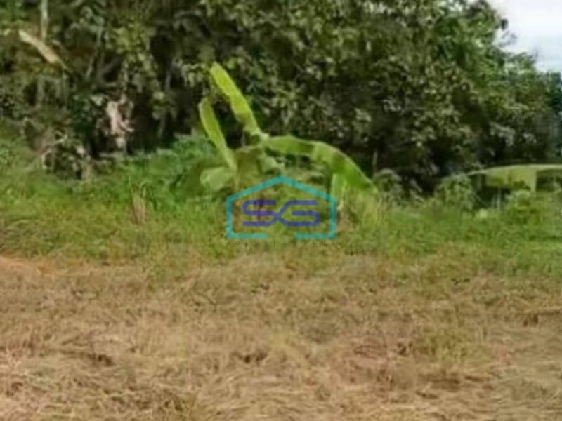 Dijual Tanah Lokasi Bagus di Cisauk Tangerang Luas Tanah 4000 m²