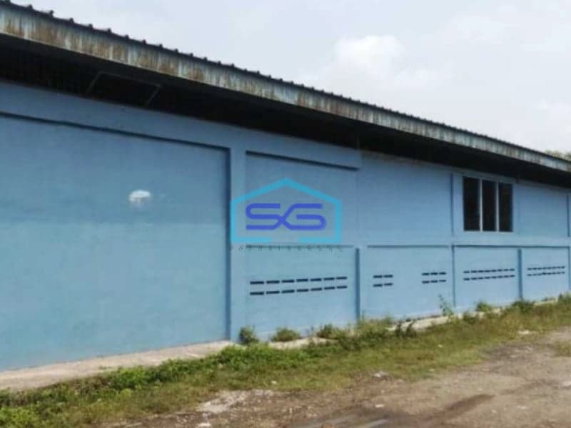 Disewakan Gudang Lokasi Strategis Di Rangkas Bitung Lebak Banten Luas Bangunan  1480 m²