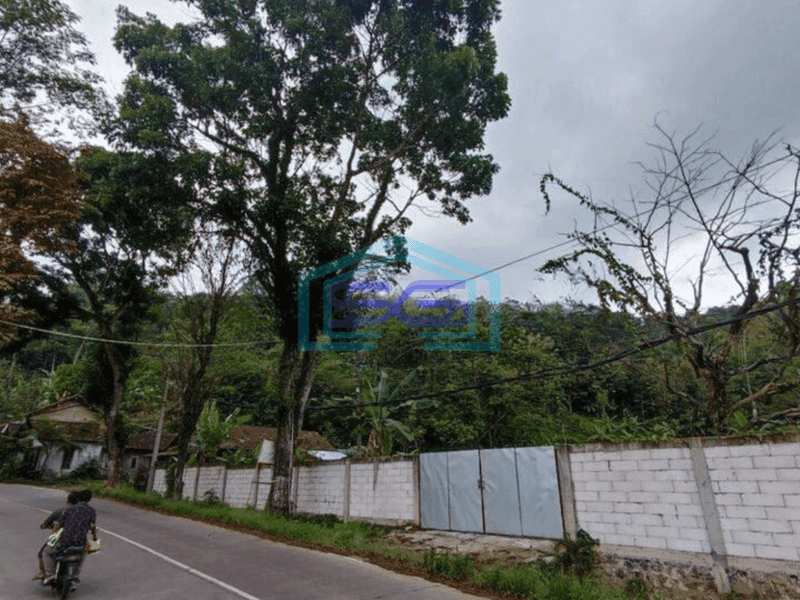 Dijual tanah di pageruyung kendal weleri sukorejo