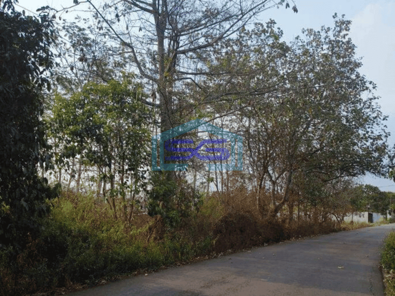 Dijual Tanah Untuk Gudang di Pasir Kembang Maja Lebak