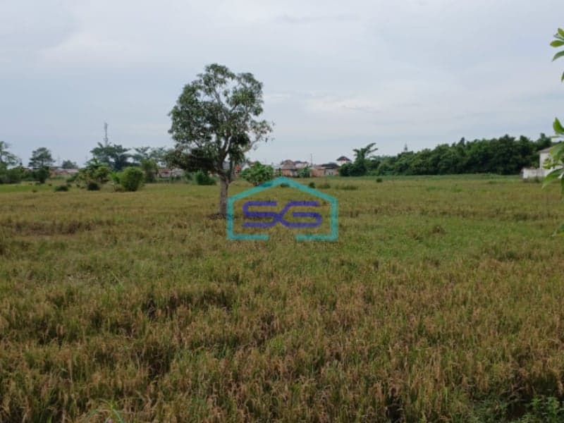 Dijual Cepat Tanah Murah dan Siap Bangun di Jalan Panca Usaha Palembang LT 3300m2