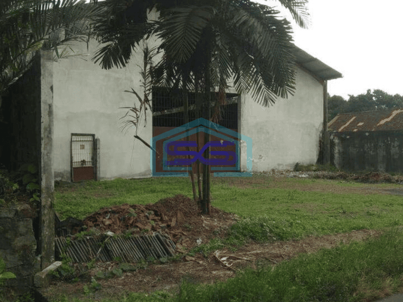 Disewakan Gudang Murah Dengan Halaman Luas di Sleman Jogjakarta