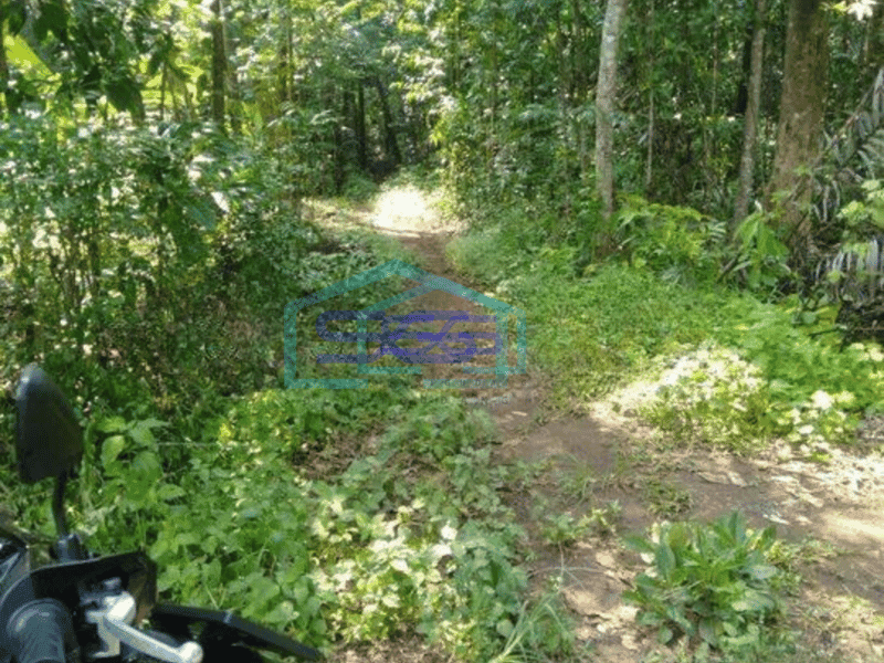 Dijual Kavling di kecamatan Beber Cirebon