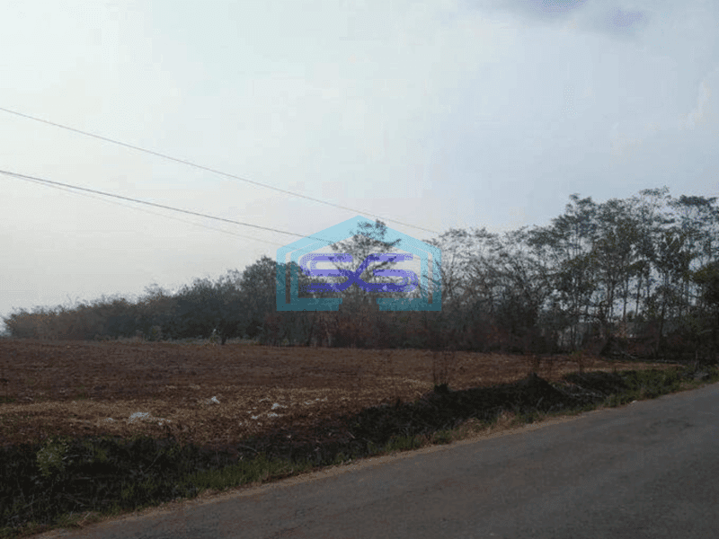 Dijual Tanah Untuk Gudang di Maja Lebak