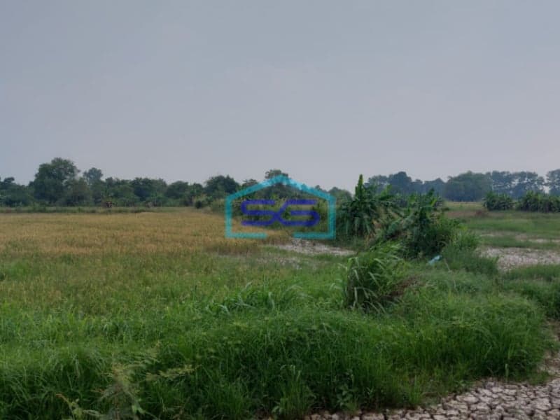 Dijual Tanah Strategis di Lokasi Pegayut Pemulutan Ogan Ilir Sumatera Selatan LT 50425m2