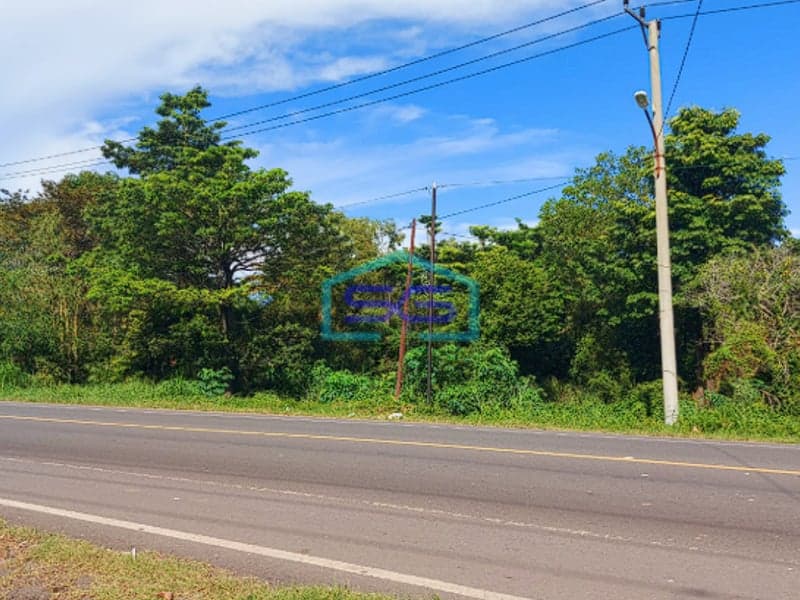 Dijual Tanah Jalan Lintas Sumatra Sriwijaya Raya KM 22 Jalan Palembang Indralaya Sumatera Selatan LT 5.6 Ha