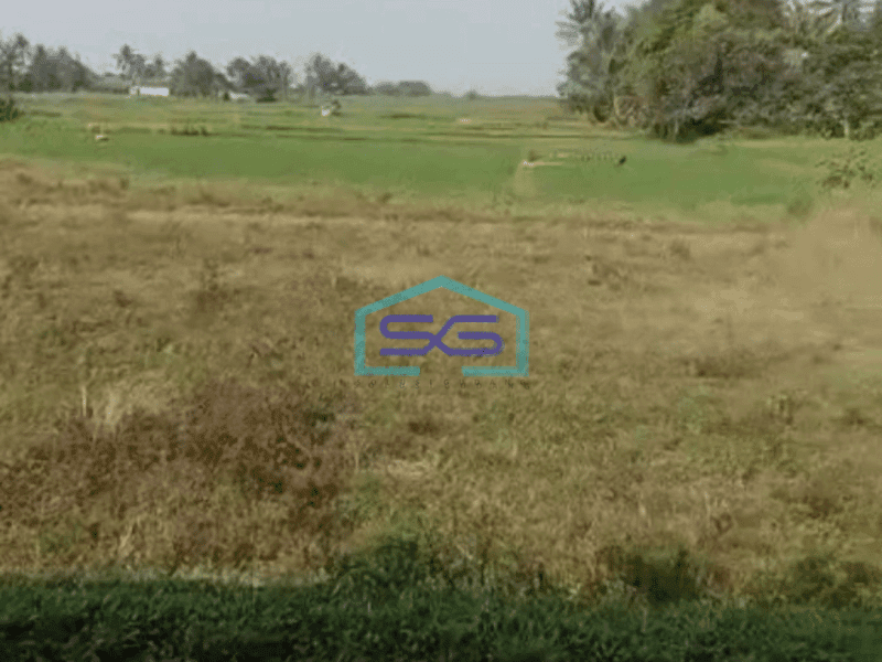 Dijual Tanah Luas  160000 m² Lokasi Strategis di Tigaraksa Tangerang