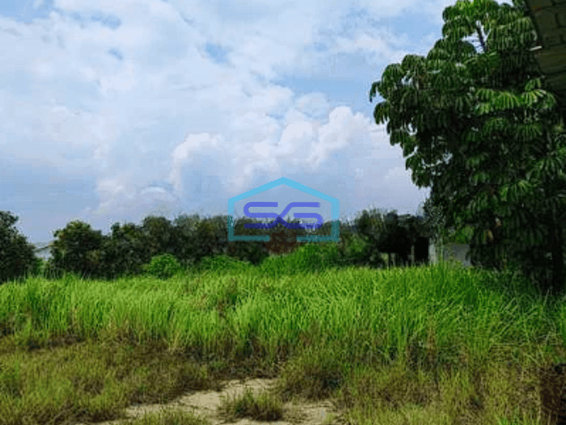 Dijual Cepat Harga Terjun Bebas Kavling Ex Gudang Pabrik di Banjaran Bandung LT 15000m2