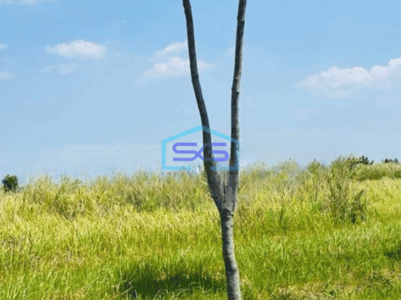 Dijual Tanah di Ciampel Karawang Luas Tanah 35000 m²