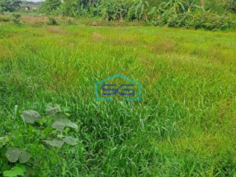 Dijual Tanah Di Kemang Bogor Luas Tanah 13000m2