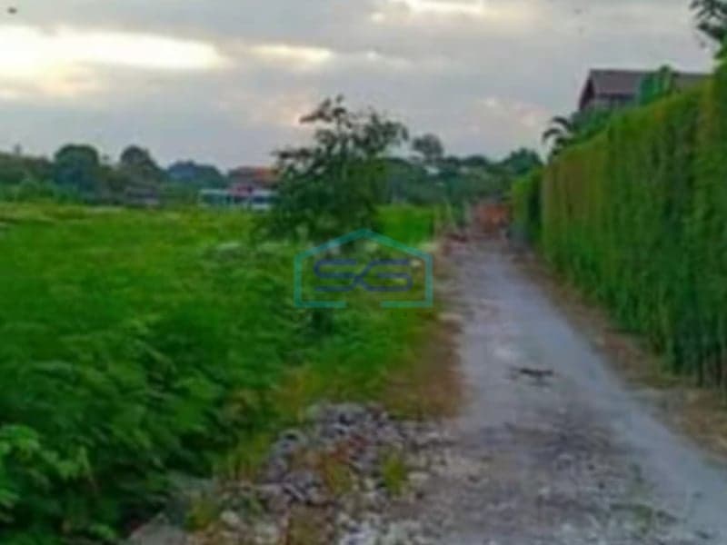 Dijual Tanah Luas Tanah 1400m2 Super Murah dan Bagus di Canggu Badung Bali