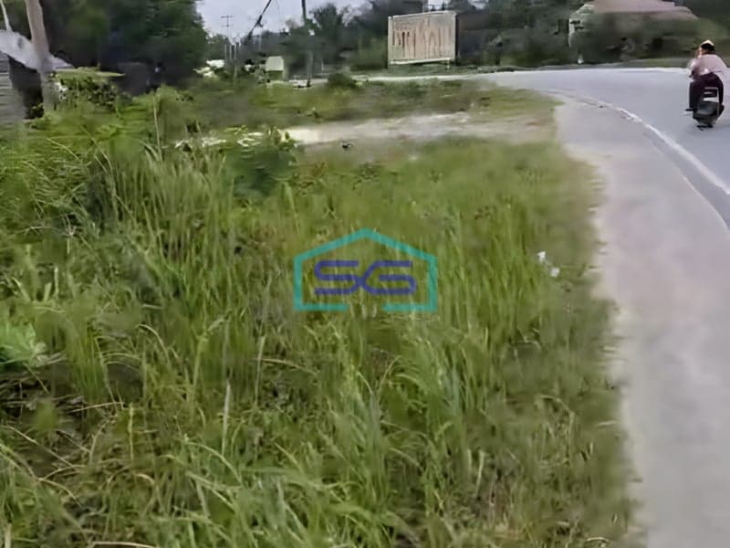 Dijual Luas Tanah 1 Hektar di Kandis Siak Riau Dekat ke Tol