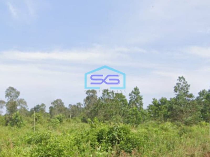 Dijual Tanah Luas 40.000 m² Tanah Subur di Kawasan Berkembang Mariana, Banyuasin Sumatera Selatan