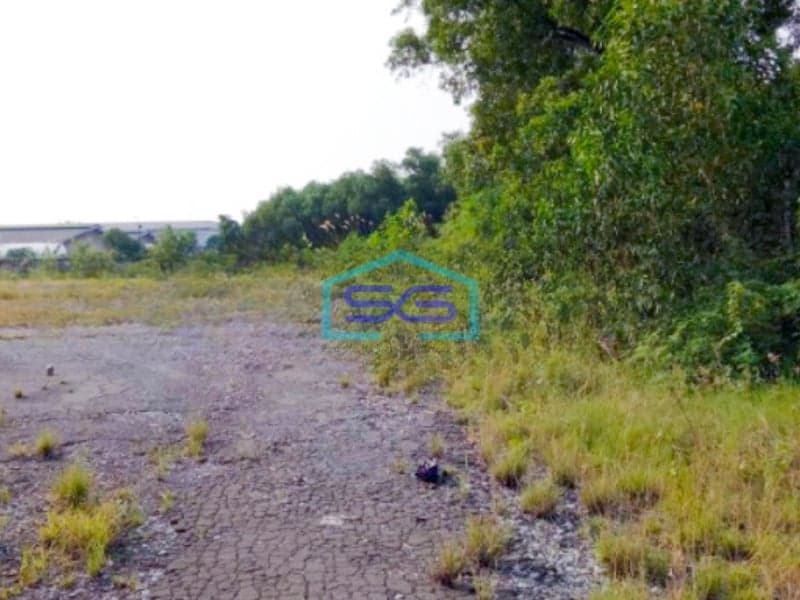 Dijual Tanah Murah Luas 10000 m² Lokasi di Marunda Jakarta Utara