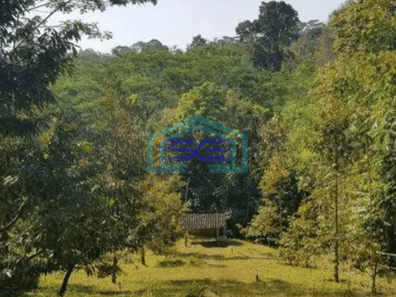 Dijual murah tanah di karangpandan karanganyar solo