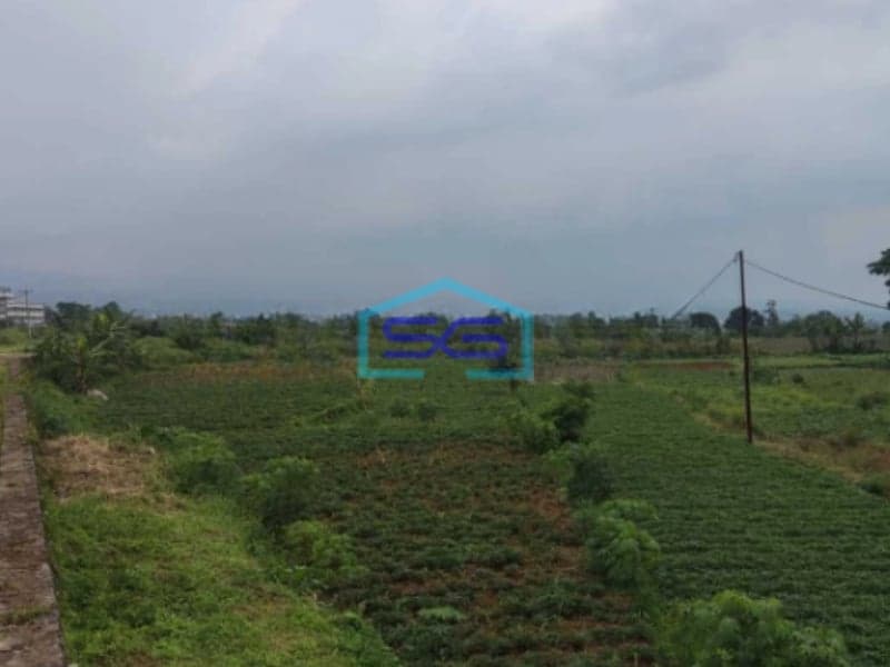 Dijual Tanah Di Mega Mendung Bogor Dengan Luas 40 Hektar
